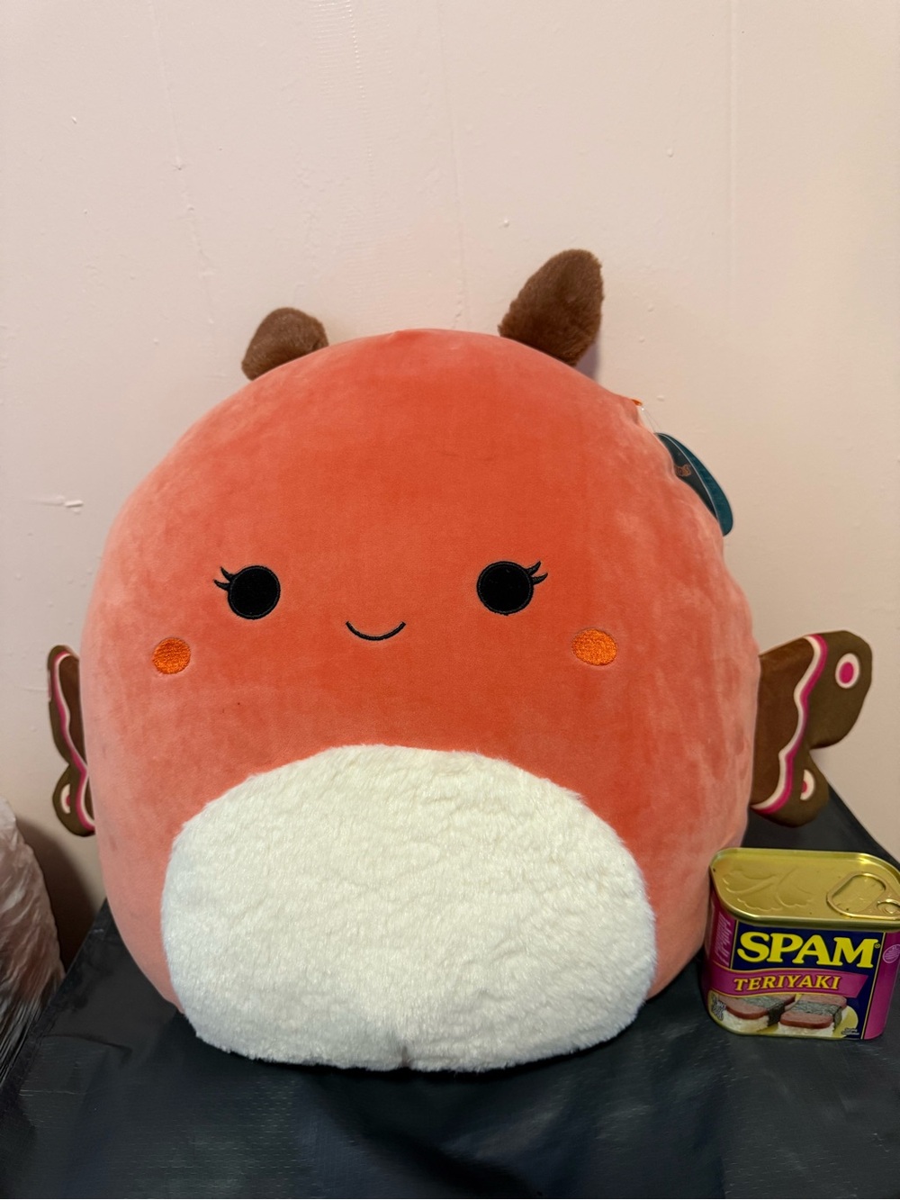 Squishmallows Mirren Coral Orange Plush with Brown Accent